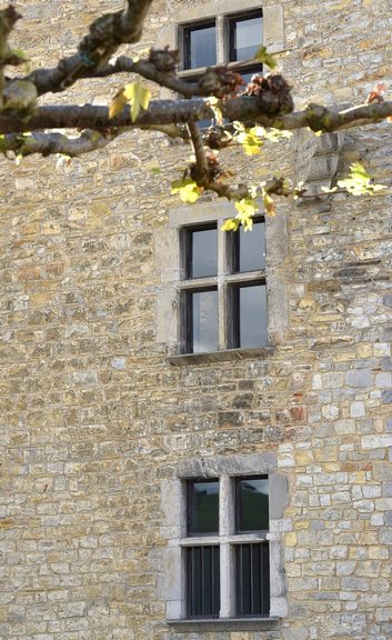 Fenetres façade a Ospitalea Commanderie a Irissarry au Pays basque